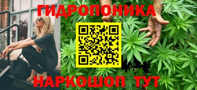 мескалин Кингисепп
